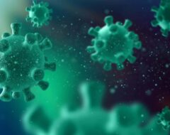 H5N8 tem potencial para se tornar nova pandemia dizem cientistas